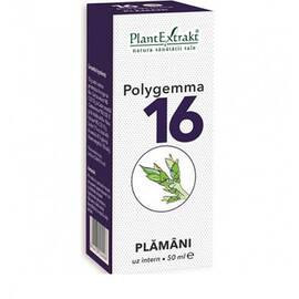 Polygemma 16 Plamani 50 ml PlantExtrakt - - Roveli