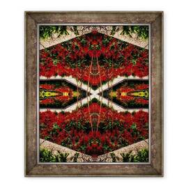 Tablou inramat - Ant Smith - Pat de flori rosii - - Roveli