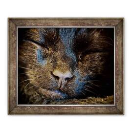 Tablou inramat - Ant Smith - Pisica Neagra doarme, 2020 - - Roveli