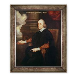 Tablou inramat - Anonymous - William Harvey 1578-1657 Medic regal - - Roveli