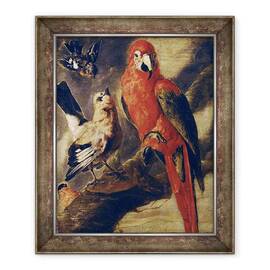 Tablou inramat - Scoala Flamanda - Macaw si Bullfinch - - Roveli