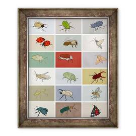 Tablou inramat - Eliza Southwood - insecte - - Roveli