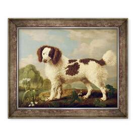 Tablou inramat - George Stubbs - Norfolk maro si alb sau spaniol de apa - - Roveli