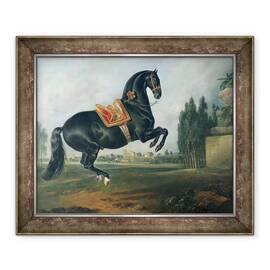Tablou inramat - Johann Georg Hamilton - Un cal negru care interpreteaza Courbette ulei pe panza - - Roveli