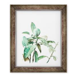 Tablou inramat - Laura Dennis - Verde - - Roveli