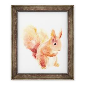 Tablou inramat - Laura Dennis - Squirrel - - Roveli