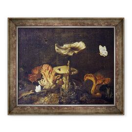 Tablou inramat - Otto Marseus van Schrieck - Natura statica cu ciuperci si fluturi - - Roveli