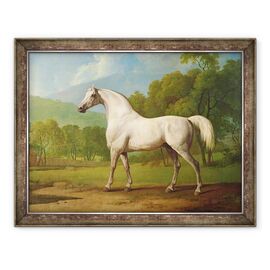 Tablou inramat - George Stubbs - \ - - Roveli