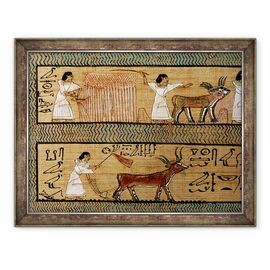 Tablou inramat - Egyptian 19th Dynasty - Culege si arat, detalii dintr-o reprezentare a activitatilor agricole in viata de apoi, din Cartea mortilor carturarului Orice - - Roveli