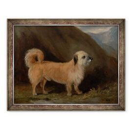 Tablou inramat - John E. Ferneley - Un Terrier Dandie Dinmont - - Roveli