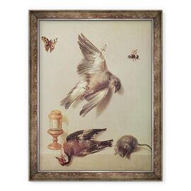 Tablou inramat - Jean-Baptiste Oudry - Natura moarta a pasarilor moarte si a unui soarece - - Roveli