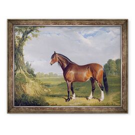 Tablou inramat - John Frederick Herring Snr - Un armasar din Clydesdale - - Roveli