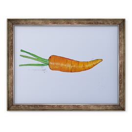 Tablou inramat - Sarah Thompson-Engels - Carrot 2005 - - Roveli