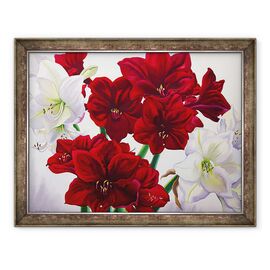 Tablou inramat - Christopher Ryland - Amaryllis rosu si alb - - Roveli