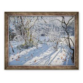 Tablou inramat - Andrew Macara - Hoar Frost - - Roveli