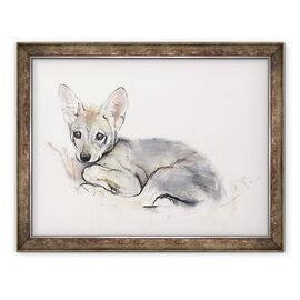 Tablou inramat - Mark Adlington - Pup Lup Arabian Curled - - Roveli