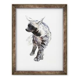 Tablou inramat - Mark Adlington - Dungi Hiaena Pup, 2010 - - Roveli