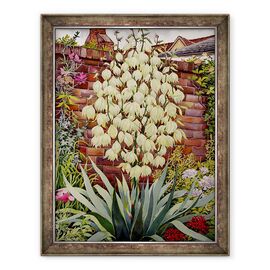 Tablou inramat - Christopher Ryland - inflorire Yucca - - Roveli