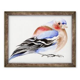 Tablou inramat - Nancy Moniz Charalambous - Chaffinch colorat, 2011 - - Roveli