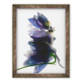 Tablou inramat - Julia McLemore - Dansul Delphinium, 2009 - - Roveli