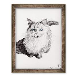 Tablou inramat - Vincent Alexander Booth - Monty, 2009 - - Roveli