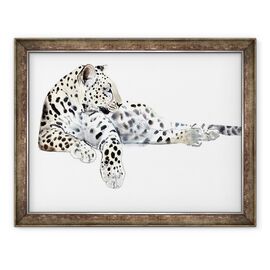 Tablou inramat - Mark Adlington - Lung Leopard Arabian, 2015 - - Roveli