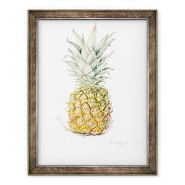 Tablou inramat - Alison Cooper - Coapte ananas, acuarela - - Roveli