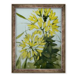 Tablou inramat - Megan Moore - Cleome galbene - - Roveli