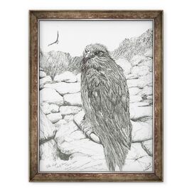 Tablou inramat - Vincent Alexander Booth - Eagles of the Highlands, 2011 - - Roveli