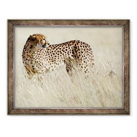 Tablou inramat - Eric Meyer - Cheetah, Etosha, 2017 - - Roveli