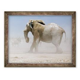 Tablou inramat - Eric Meyer - Bull Elephant, Etosha, 2018 - - Roveli