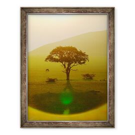 Tablou inramat - Eric Meyer - Paradisul dupa ploaie, Hills Chyulu, 2018 - - Roveli