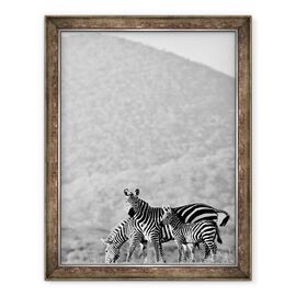 Tablou inramat - Eric Meyer - Zebra, Chyulus, 2018 - - Roveli