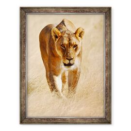 Tablou inramat - Eric Meyer - Huntress, Etosha - - Roveli