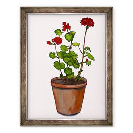 Tablou inramat - Sarah Thompson-Engels - Geraniums in ghiveci de flori,2019 - - Roveli