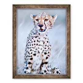 Tablou inramat - Eric Meyer - Tanar ghepard, 2019 - - Roveli