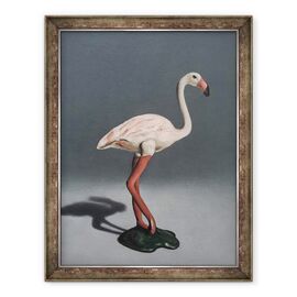 Tablou inramat - Peter Jones - Roz Flamingo, 2014 - - Roveli