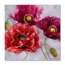 Tablou Canvas - Flori de maci II, Plante, Rosu, Mov, Marime: 60 x 60 cm - - Roveli