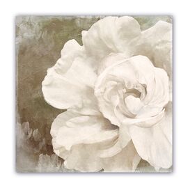 Tablou Canvas - Vintage, Flori, Bujori, Alb - - Roveli