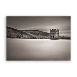 Tablou Canvas - Padure, Monochrom, Bastion - - Roveli