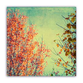 Tablou Canvas - Copac, Frunze, Portocaliu, Marime: 60 x 60 cm - - Roveli
