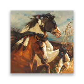 Tablou Canvas - Animal, Cal, Indian, Salbatic - - Roveli