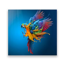 Tablou Canvas - Animal, Papagal, Culori - - Roveli