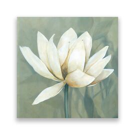 Tablou Canvas - Floral, Flori, Magnolia, Pictura, Alb - - Roveli