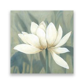 Tablou Canvas - Floral, Flori, Magnolia, Alb, Pictura - - Roveli