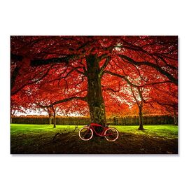 Tablou Canvas - Toamna, Bicicleta Rosie, Copac, Frunze - - Roveli