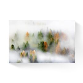 Tablou Canvas - Padure, Brazi, Toamna, Ceata, Dimineata, Marime: 80 x 120 cm - - Roveli