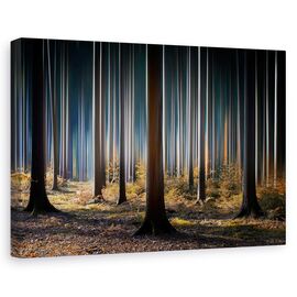 Tablou canvas - Lemn mistic, Peisaj, Toamna, Lumina, Marime: 80 x 120 cm - - Roveli