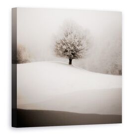 Tablou Canvas - Degrade De Iarna, Copac, Alb-Negru, Peisaj, Natura - - Roveli