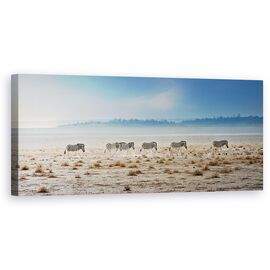 Tablou Canvas - Promenada, Natura, Animale, Salbatice,  Zebra, Ceata - - Roveli
